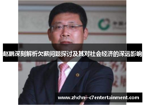 赵鹏深刻解析欠薪问题探讨及其对社会经济的深远影响