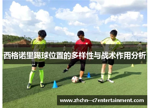 西格诺里踢球位置的多样性与战术作用分析