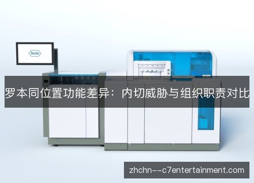 罗本同位置功能差异：内切威胁与组织职责对比